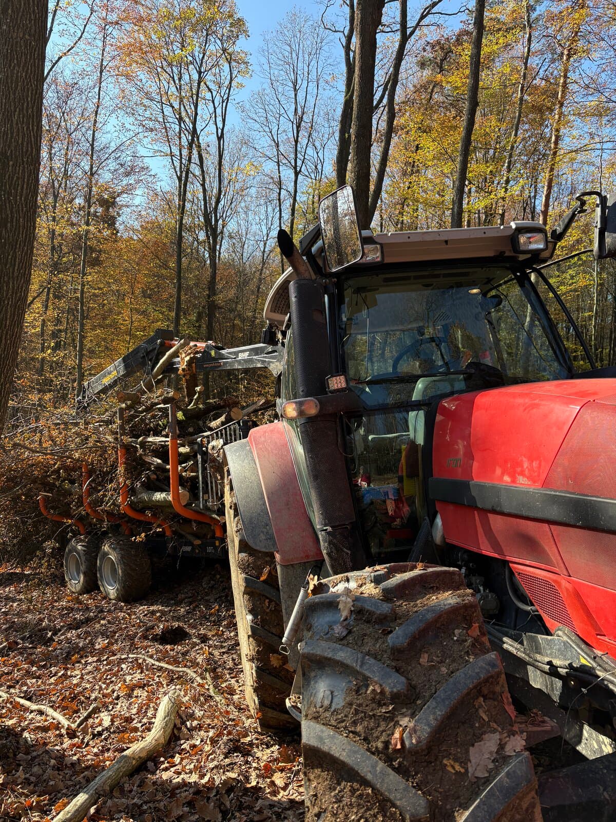 Traktor s prikolico v gozdu